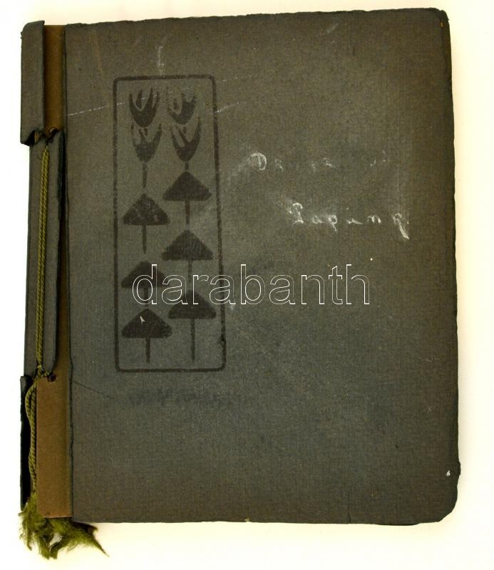 1905 Hegedűs Sándor (1847-1906) Közgazdász, Miniszter, írót ábrázoló Fotók, Lánya, Hegedűs Rózsika Készítette. Benne A M - Autres & Non Classés