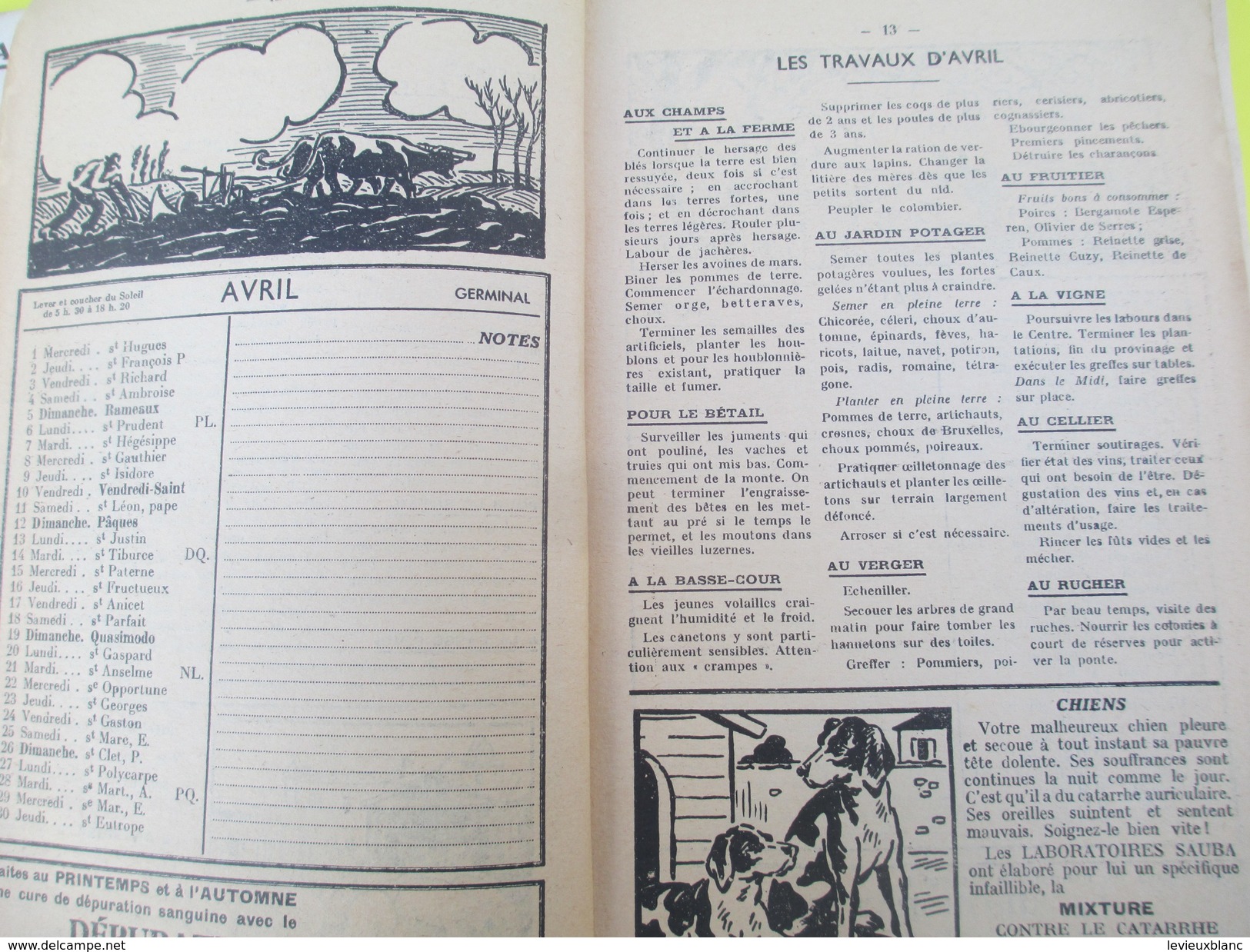 Almanach Sauba/ Laboratoires SAUBA/Pharmacie De La Gare /Jean Pfeifle / GARGAN/ 1936      CAL371 - Autres & Non Classés