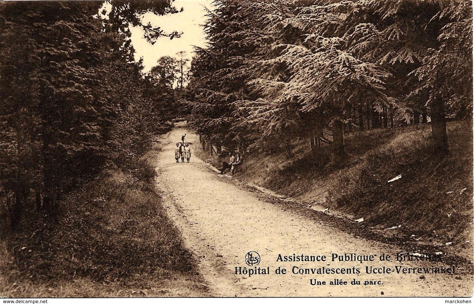 BRUXELLES (1180) : Une Allée Du Parc De L'Hôpital De Convalescents De L'Assistance Publique De Bruxelles, à Verrewinkel. - Santé, Hôpitaux