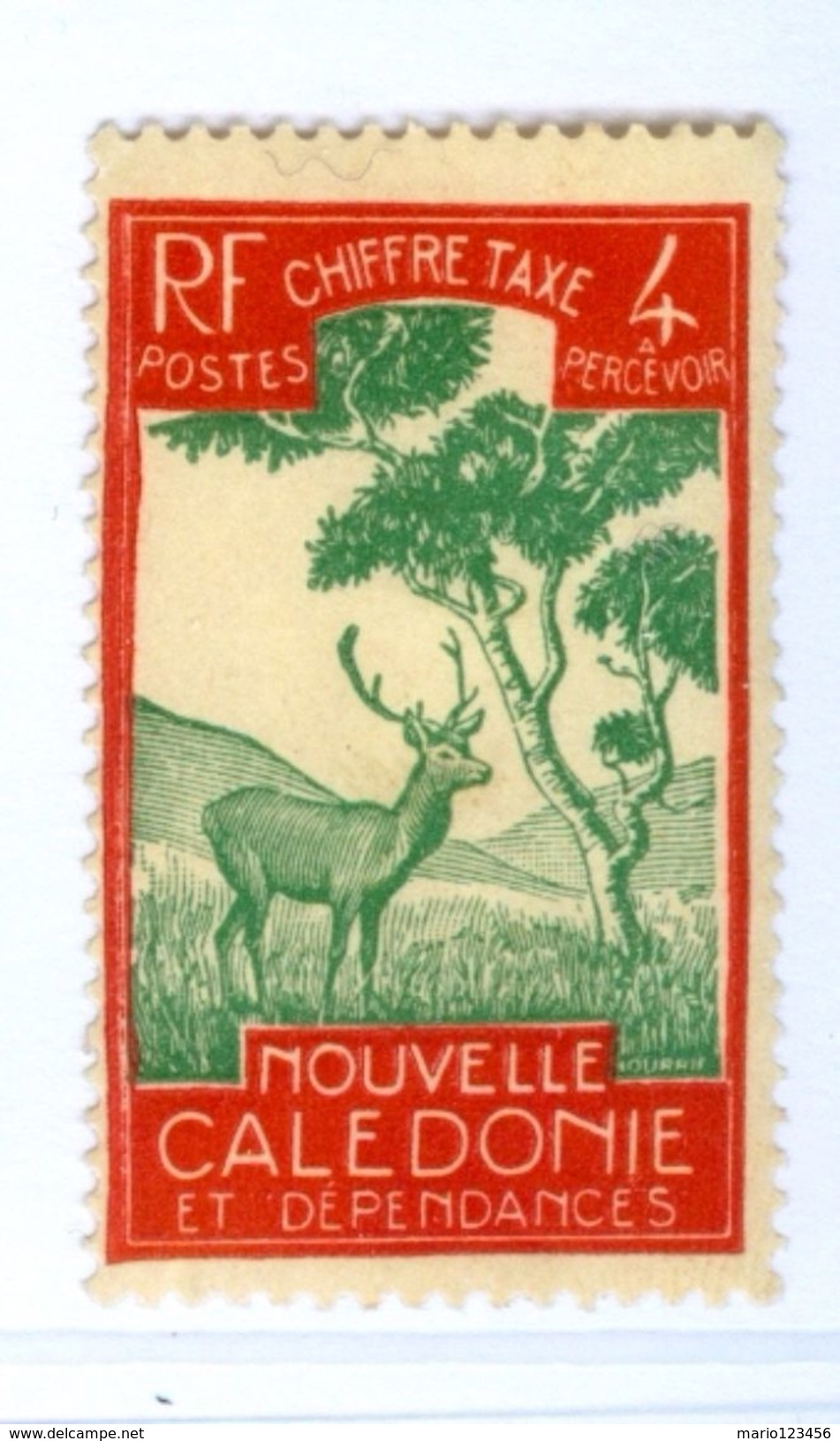 NUOVA CALEDONIA, NEW CALEDONIA, COLONIA FRANCESE, FRENCH COLONY, FAUNA, ANIMALI, 1928, NUOVI (MNG), YT T27.. Scott J20 - Unused Stamps