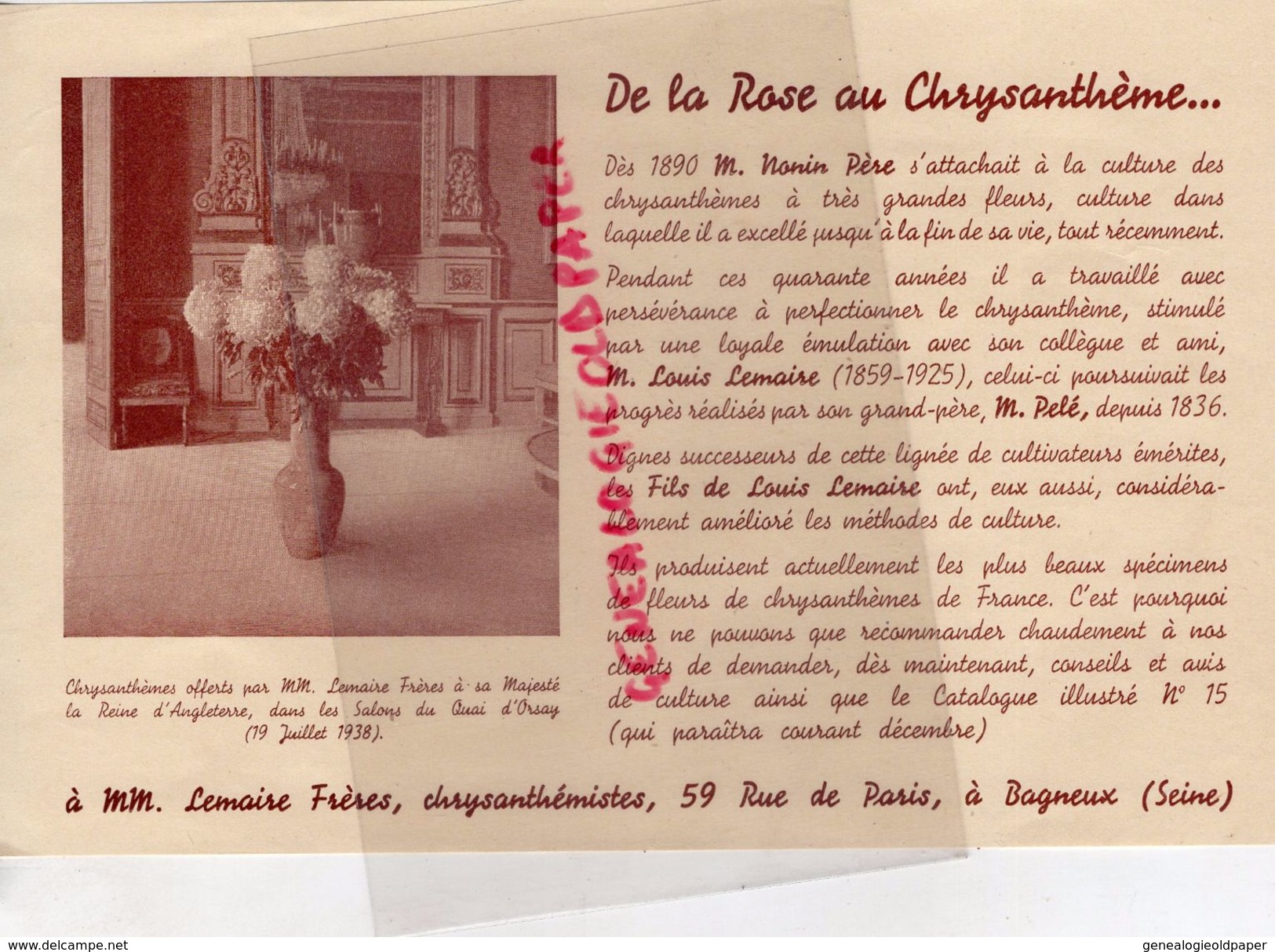 92- BAGNEUX- PUBLICITE LEMAIRE FRERES- CHRYSANTHEME-CHRYSANTHEMISTES-ROSE-NONIN-PELE- 59 RUE PARIS- HORTICULTURE - Agricultura