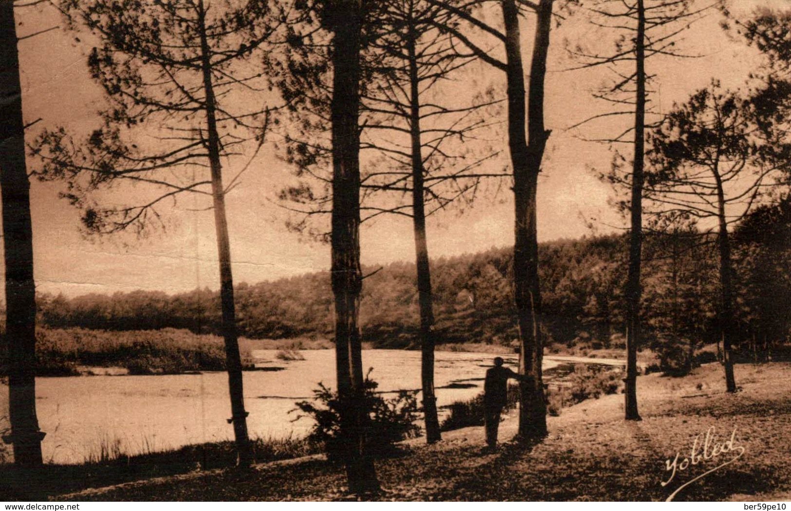 65 DANSLES LANDES DE GASCOGNE PAYSAGE A AUREILHAN - Aureilhan Semeac