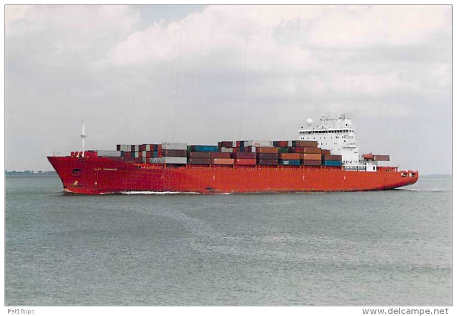 " CAST PROMINENCE Hamilton " ** Lot De/of 2 ** PORTE CONTAINER - CARRIER DOOR - PHOTO 1980-2001 Cargo - Comercio