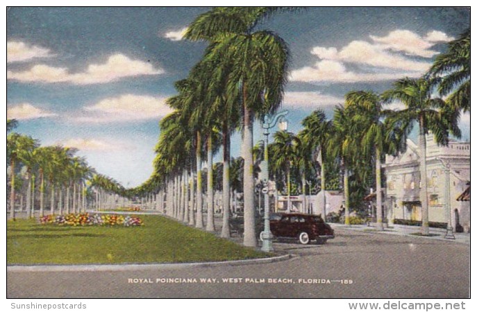 Florida West Palm Beach Royal Poinciana Way - West Palm Beach