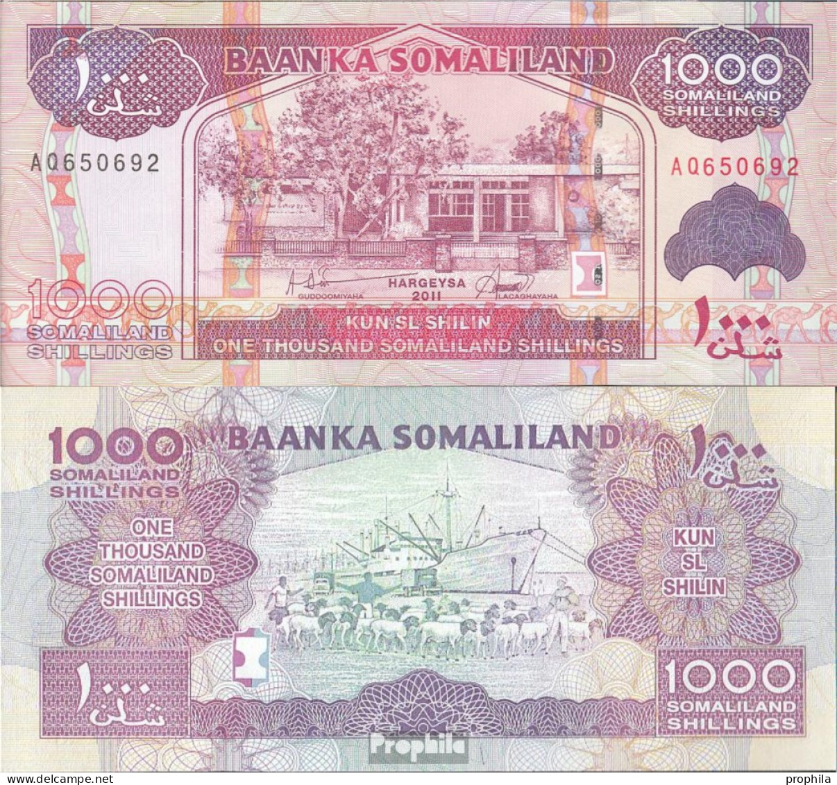 Somaliland Pick-Nr: 20a Bankfrisch 2011 1.000 Shillings - Somalia