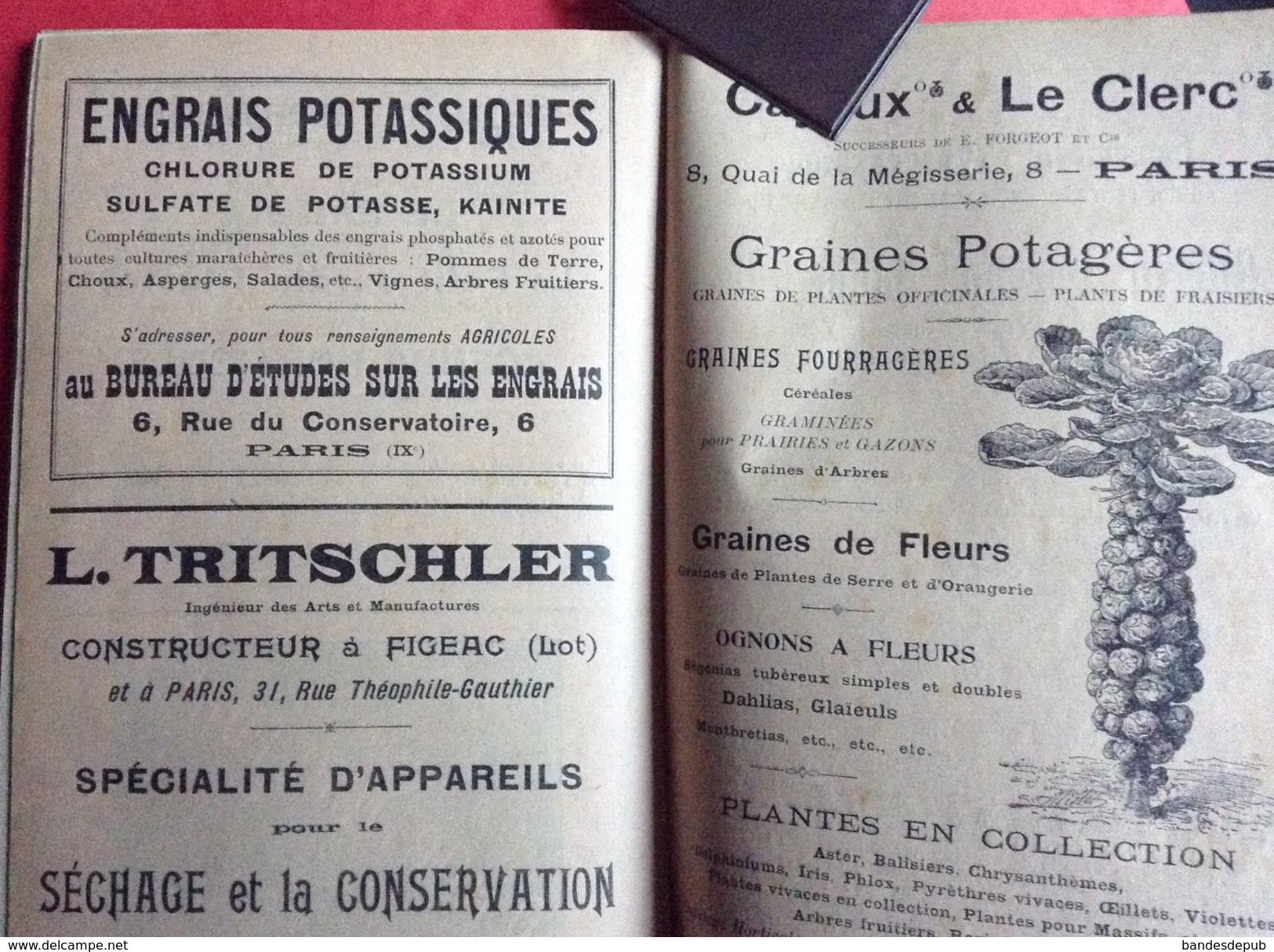 Rare Almanach Jardiniers 1905 horticulture illustré Grasset ? 128 pages plus 10 pages pub Plon Nourrit