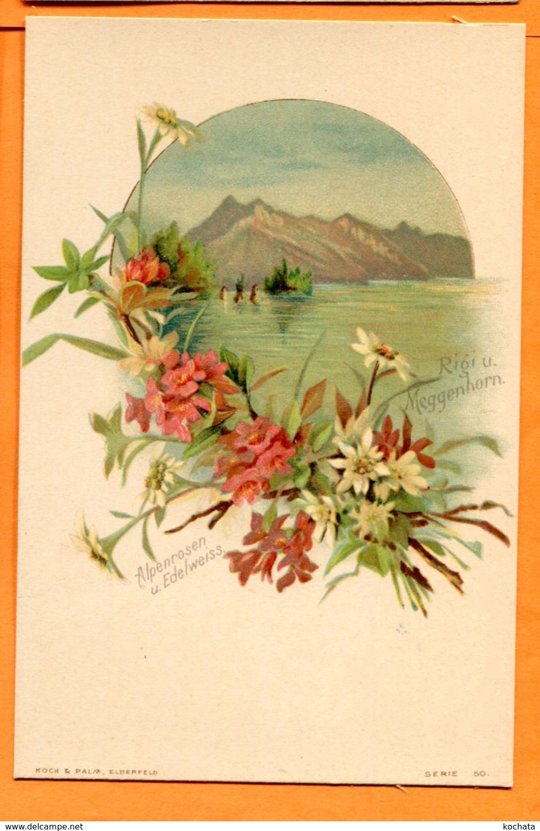 NOV110, Rigi Und Meggenhorn, Alpenrosen, Edelweiss, Fleur Des Alpes, Précurseur, Non Circulée - Meggen