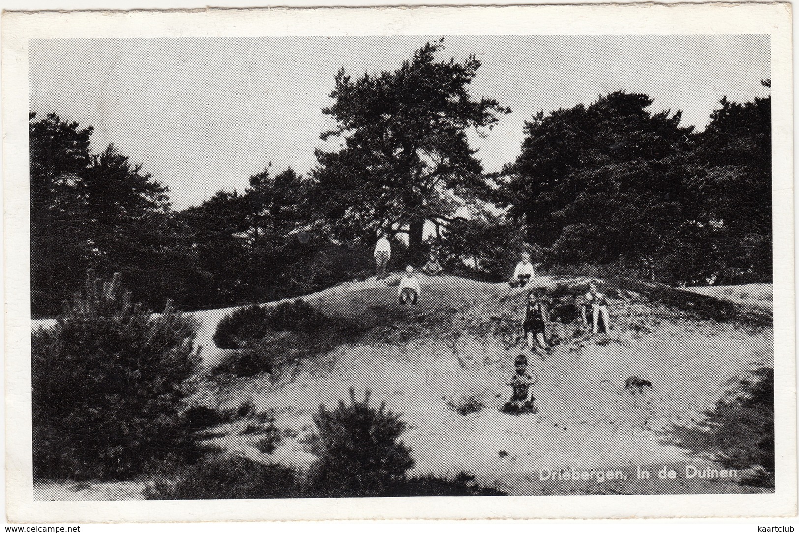 Driebergen - (Spelen) In De Duinen - (1952) - (Utrecht, Nederland) - Driebergen – Rijsenburg