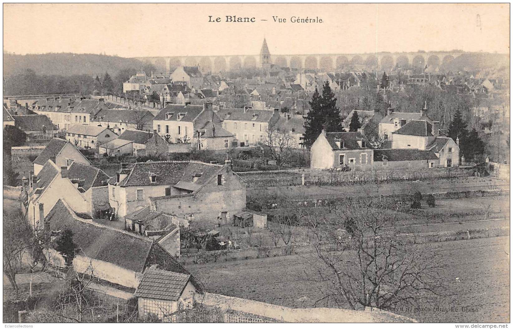 Le Blanc    36         Vue Générale       (voir Scan) - Le Blanc