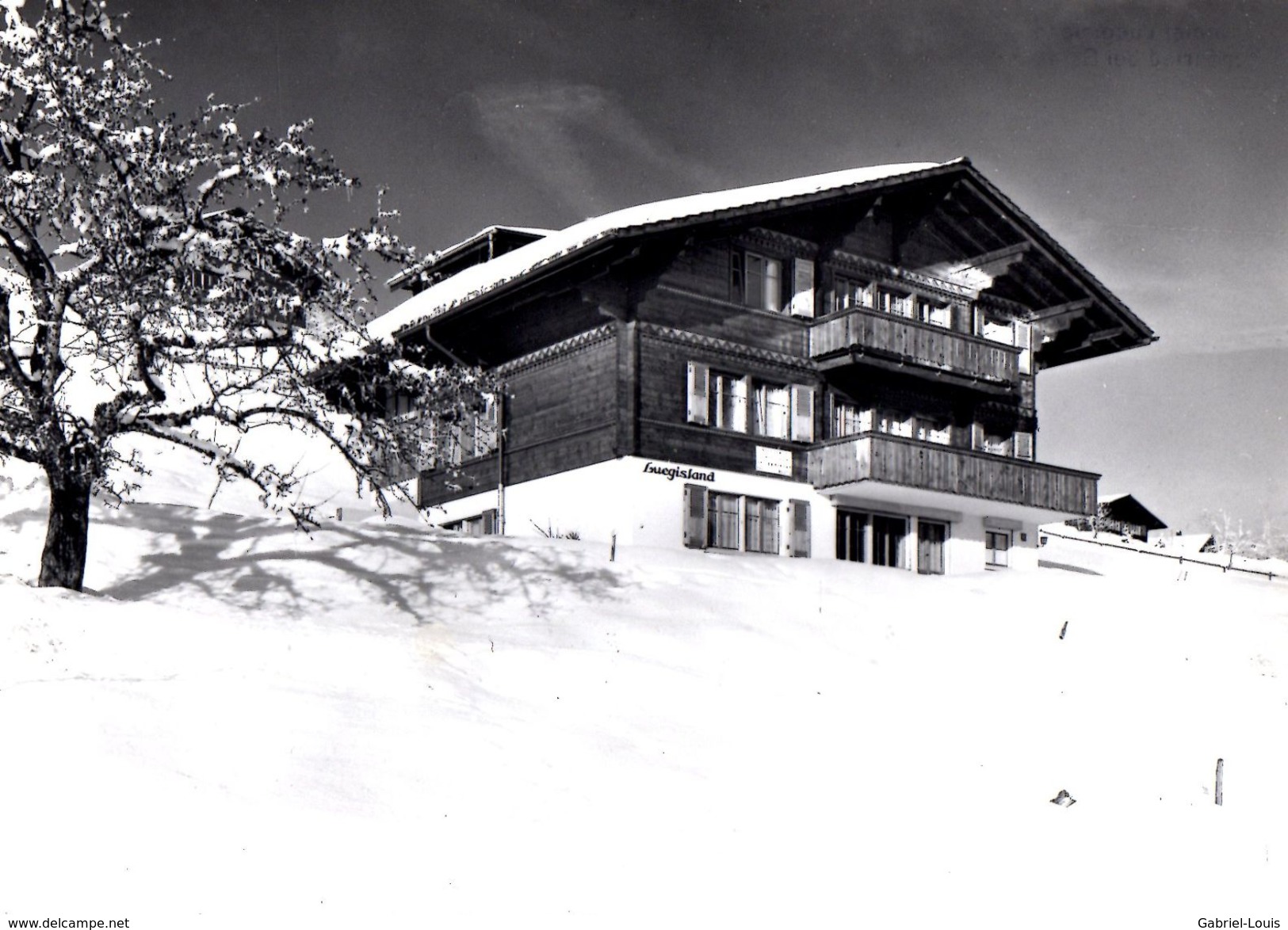 Chalet Luegisland Schönried Bei Gstaad (carte Grand Format ) - Gstaad