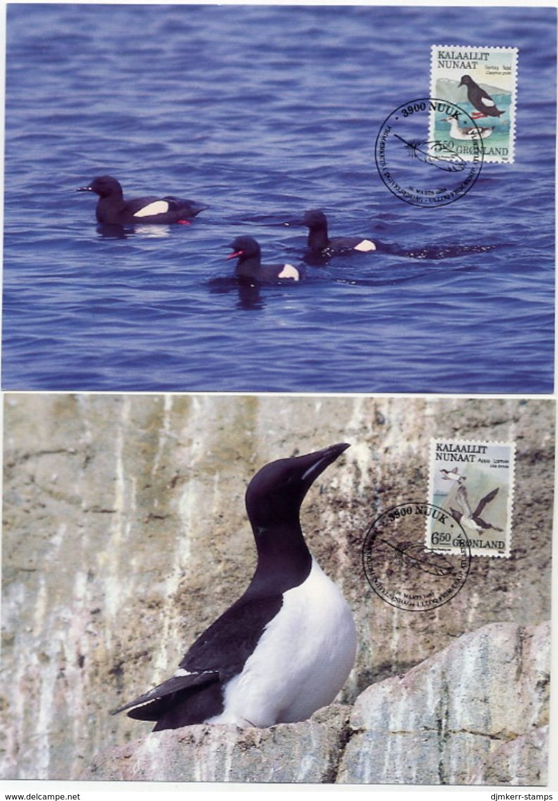 GREENLAND 1989 Birds III.on Maximum Cards.  Michel 191-94 - Maximumkaarten