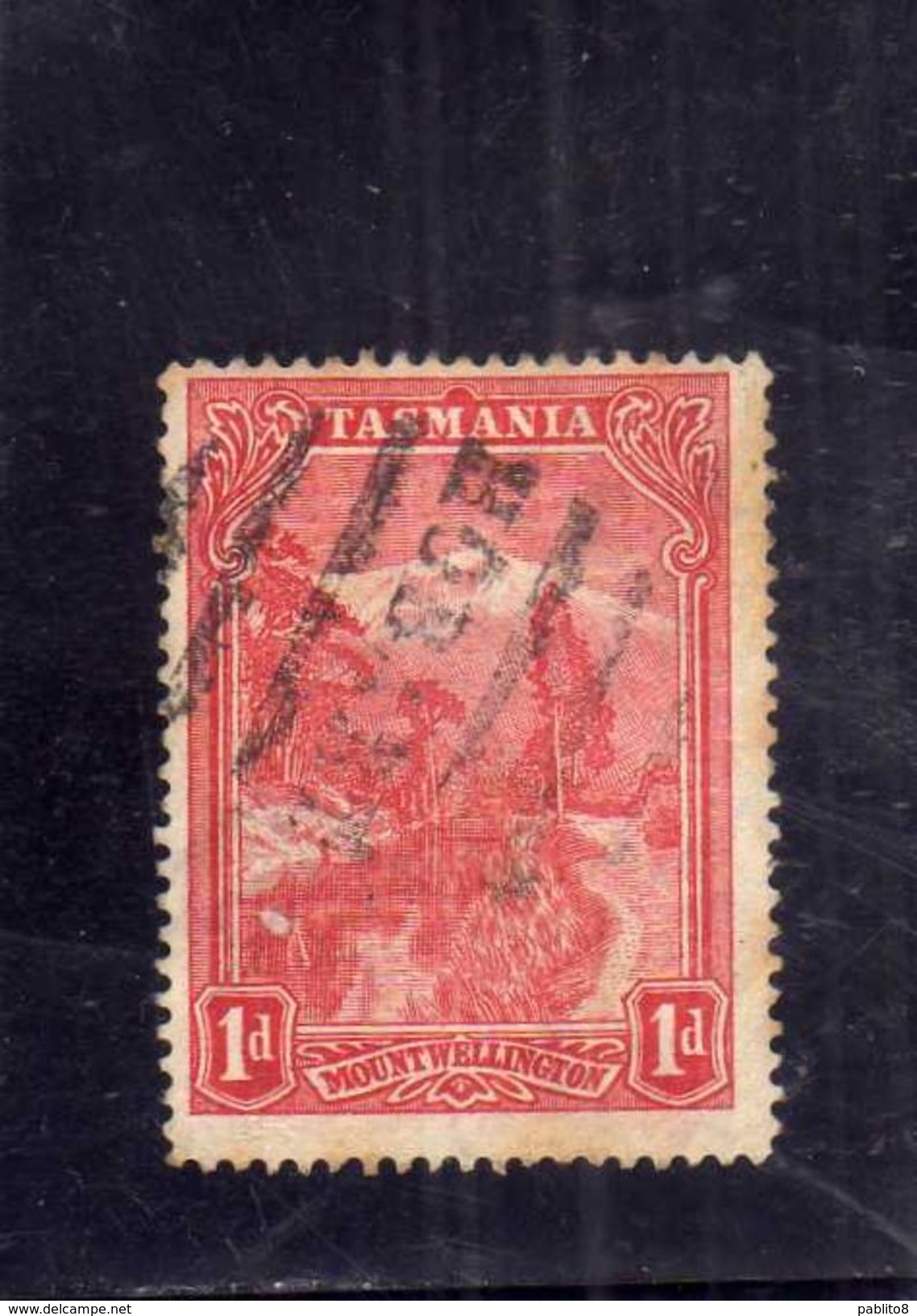 AUSTRALIA TASMANIA 1899 1900 WELLINGTON MOUNTAIN MONTE PENNY 1p USATO USED OBLITERE' - Oblitérés