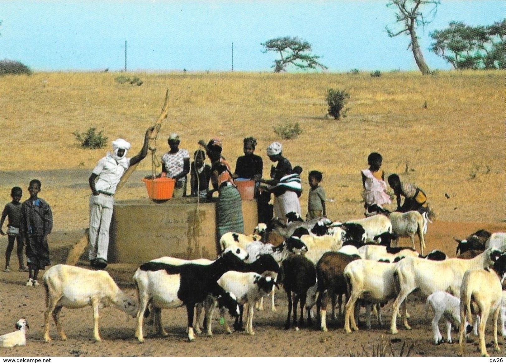 Sénégal -Scène De Puissage (puisage) - Edition Wakhatilene, Saint-Louis - Carte N° 28 Non Circulée - Senegal