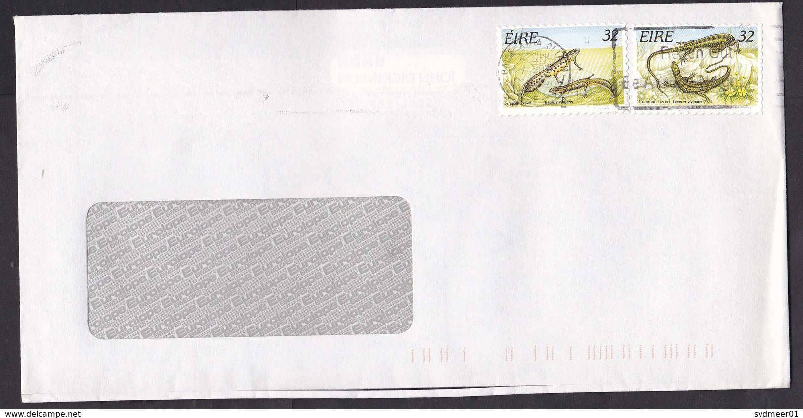 Ireland: Cover, 1995, 2 Stamps, Reptiles, Lizard, Salamander, Animals (traces Of Use) - Lettres & Documents