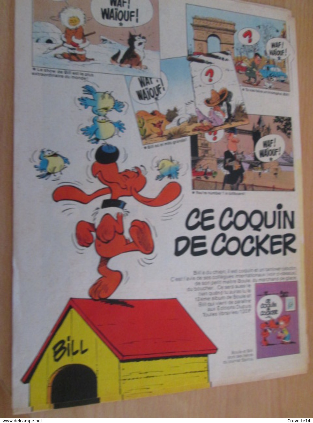 CLIP118 : PUBLICIT De REVUE SPIROU Avec BOULE ET BILL Par ROBA  Découpée Dans Une Revue Des 70's , Page A4 - Boule Et Bill