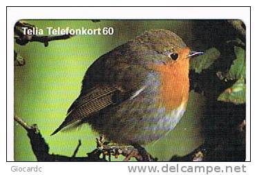 SVEZIA (SWEDEN) - TELIA  (CHIP) - 1997  BIRDS: ROBIN        -      USED °- RIF. 7697 - Pájaros Cantores (Passeri)