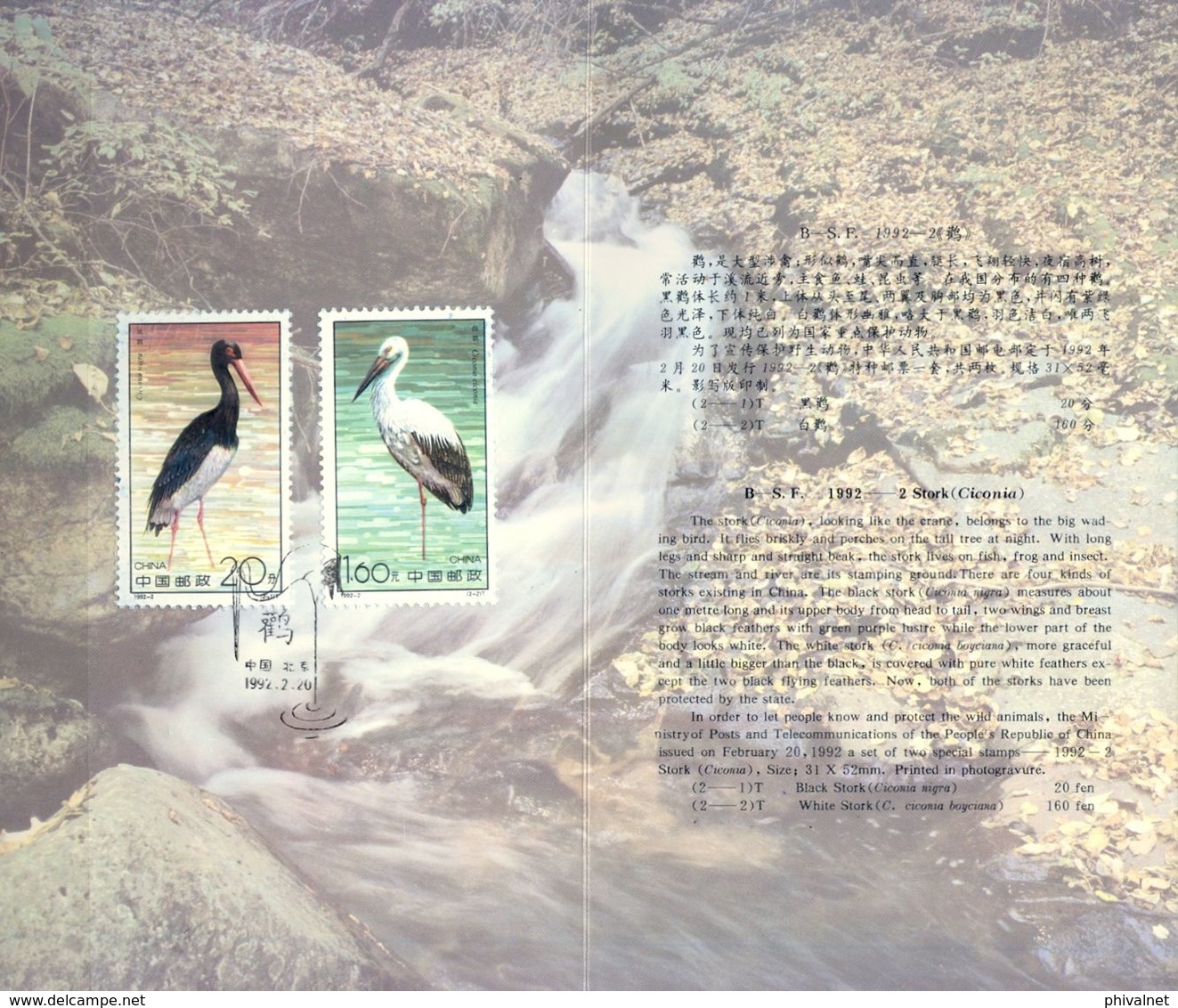 CHINA , 1992 , AVES , CIGÜEÑAS - STORK, CARPETA OFICIAL - Gebraucht