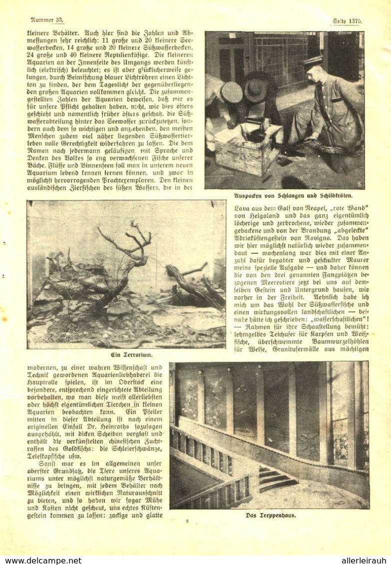 Das Neue Aquarium Im Berliner Zoo  / Artikel, Entnommen Aus Zeitschrift / 1913 - Colis