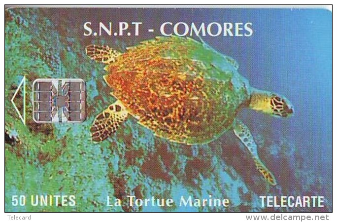 Télécarte à Puce COMORES (2296) TORTUE - TURTLE Chip Phonecard - SCHILDKRÖTE * TELEFONKARTE - Turtles