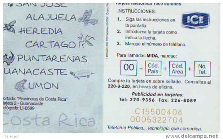 Télécarte à Puce COSTA RICA (2298) TORTUE - TURTLE * Chip Phonecard - SCHILDKRÖTE * TELEFONKARTE - Turtles