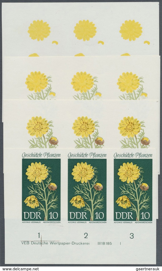 ** DDR: 1969, Geschützte Heimische Pflanzen 10 Pf. 'Frühlings-Adonisröschen (Adonis Vernalis)' In 4 Ver - Sonstige & Ohne Zuordnung