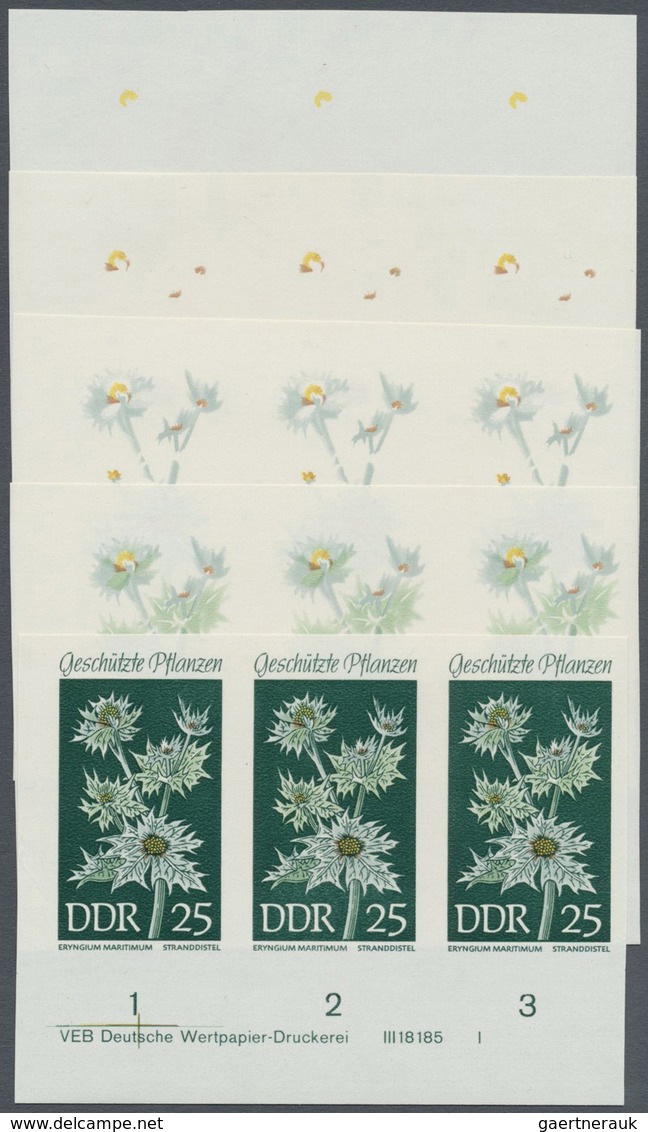 ** DDR: 1969, Geschützte Heimische Pflanzen 25 Pf. 'Stranddistel (Eryngium Maritimum)' In 5 Verschieden - Sonstige & Ohne Zuordnung