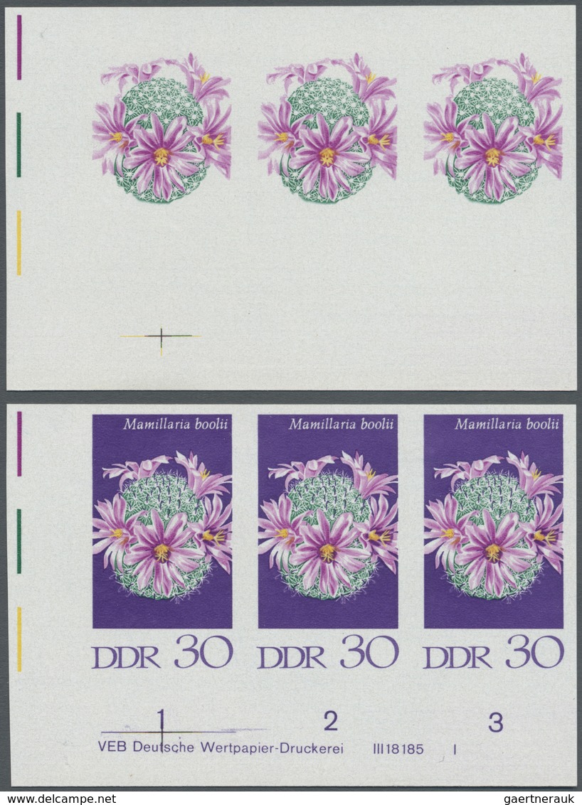 ** DDR: 1970, Kakteen 30 Pf. 'Warzenkaktus (Mamillaria Boolii)' In 4 Verschiedenen Ungezähnten Waagrech - Sonstige & Ohne Zuordnung