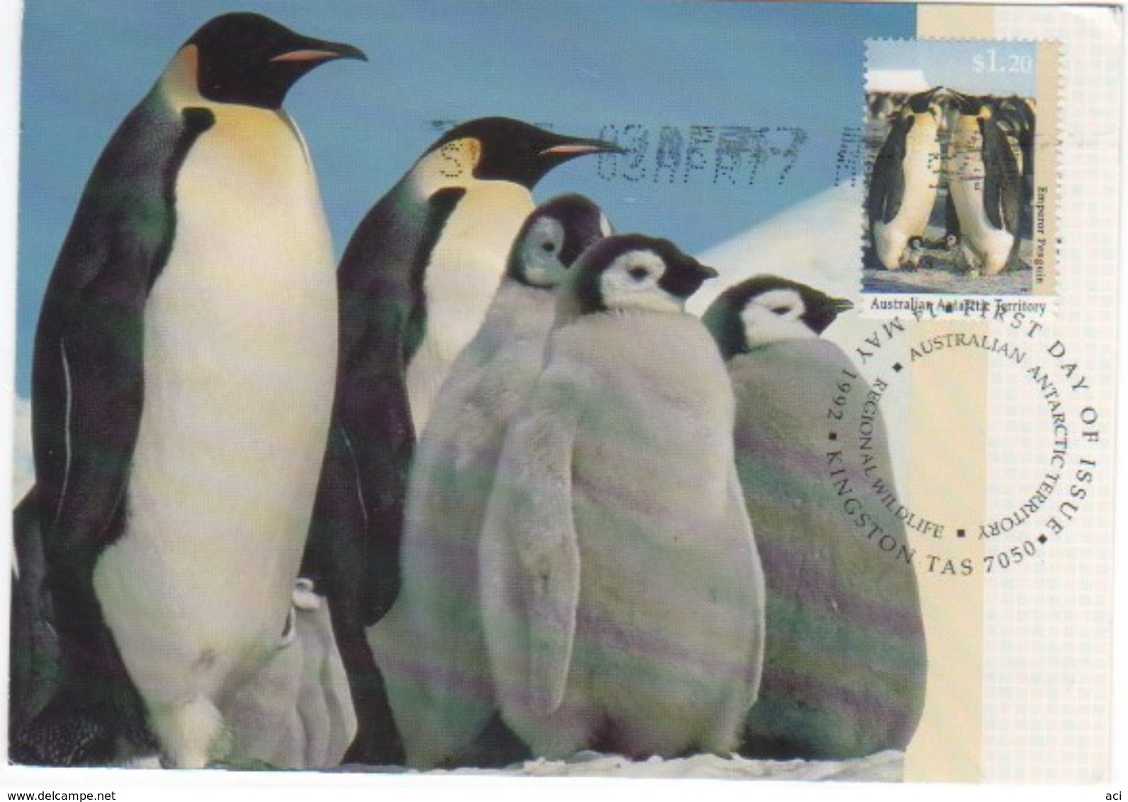 Australian Antarctic Territory 2017 Postally Used Maximum Card,Wildlife,Emperor Penguin - Maximum Cards