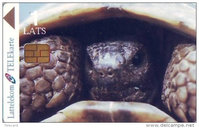 Télécarte  PUCE * LATVIA (2333) Pythagorion * Samos Island Greece * TORTUE * TURTLE * TIRAGE 25 * CORINA VAN KROONENBURG - Turtles