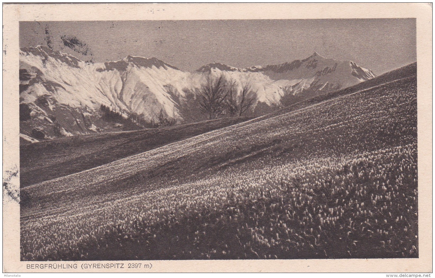 Bergfrühling (Gyrenspitz 2397 M) - Schiers (1862) * 21. XI. 1921 - Schiers