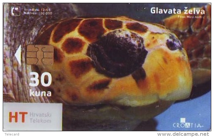 Télécarte  PUCE * CROATIE * TRANSPARANT  (2336) TORTUE *  TURTLE **  Phonecard - SCHILDKRÖTE * TELEFONKARTE - Turtles