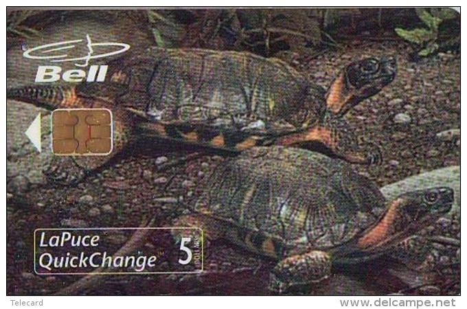 RARE * Télécarte à Puce NEUVE * CANADA  (2358) TORTUE * TURTLE *  MINT CHIP Phonecard * SCHILDKRÖTE * TELEFONKARTE - Turtles