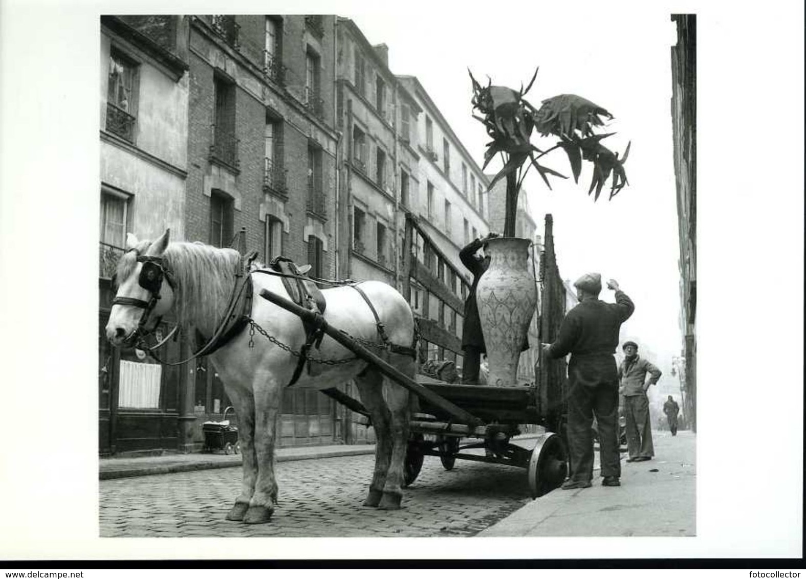 La Plante En Pot 1952 Par Doisneau - Doisneau