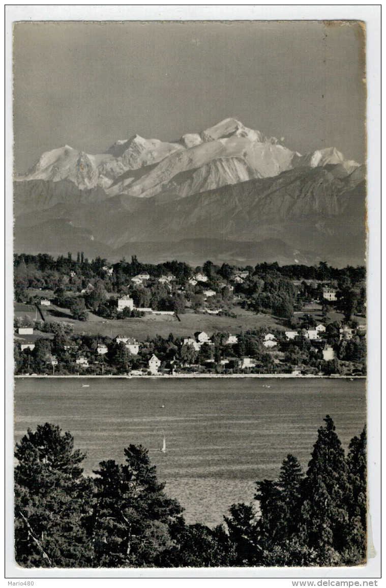 GENEVE    LE  MONT  BLANC  ET  LE  COTEAU DE  COLOGNY         (VIAGGIATA) - Cologny