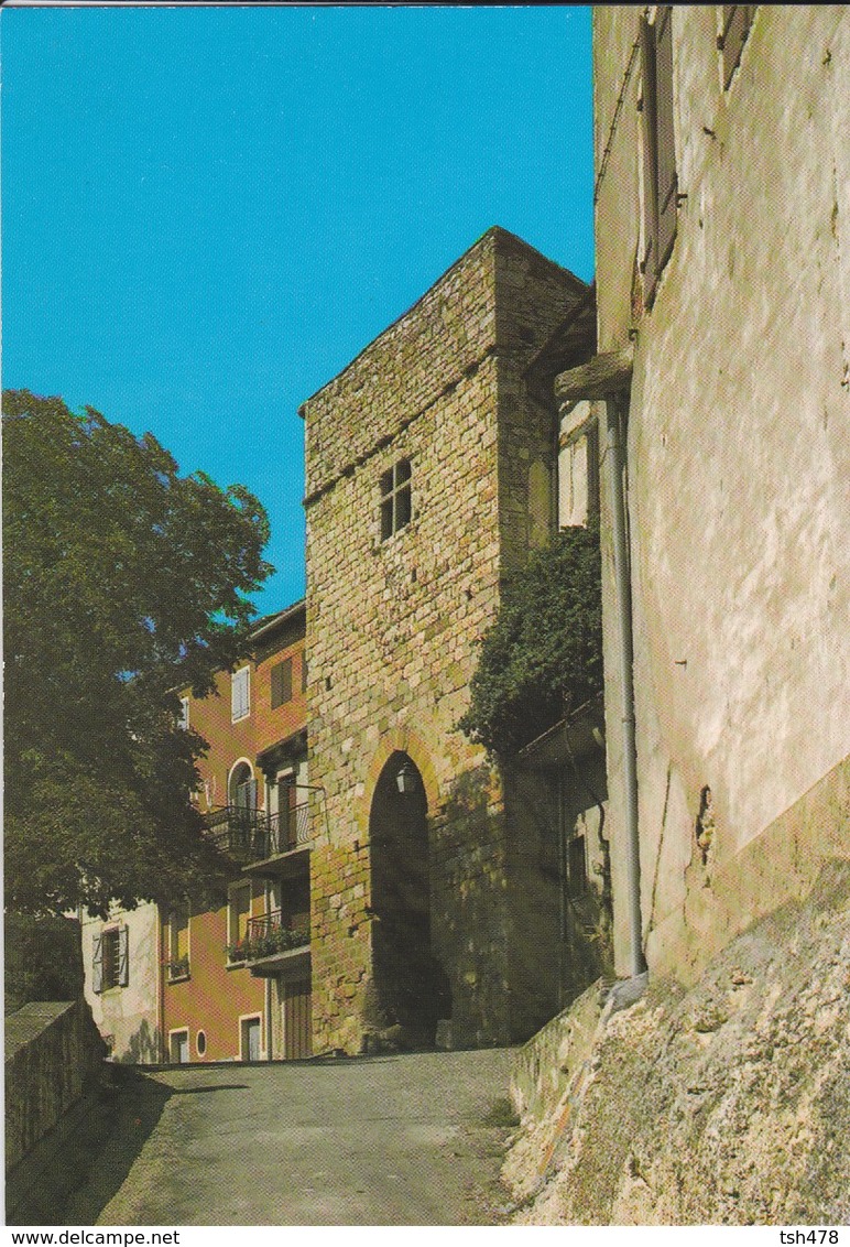 81----CASTELNAU DE MONTMIRAL--cité Médiévale--porte Des Garrics--voir 2 Scans - Castelnau De Montmirail