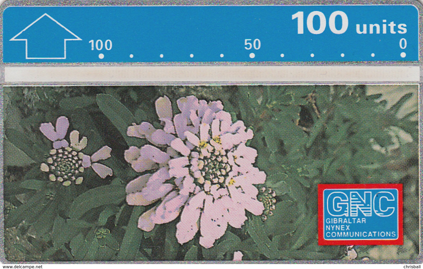 Gibraltar  Phonecard- 100u Candytuft - Fine Used - Gibilterra