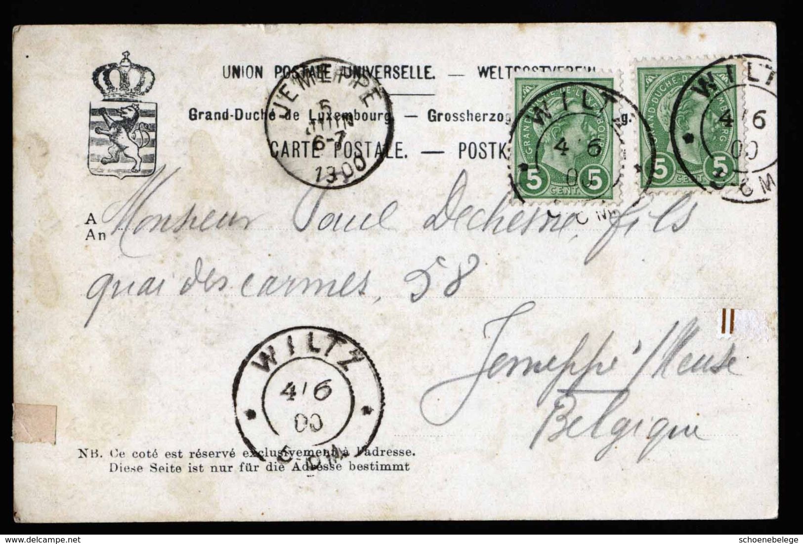 A5223) Luxemburg Karte Wiltz 4.6.1900 N. Belgien Jemeppe - 1895 Adolfo De Perfíl