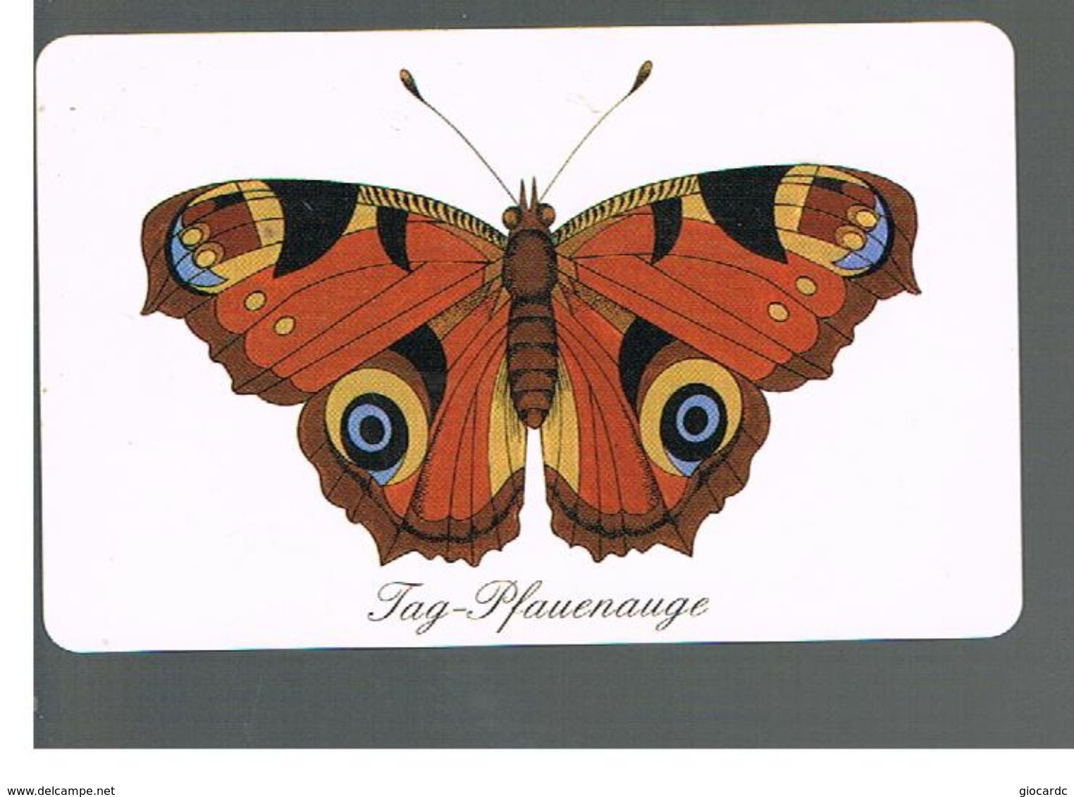 GERMANIA (GERMANY) -  1998 -  BUTTERFLIES   - RIF.   138 - Papillons