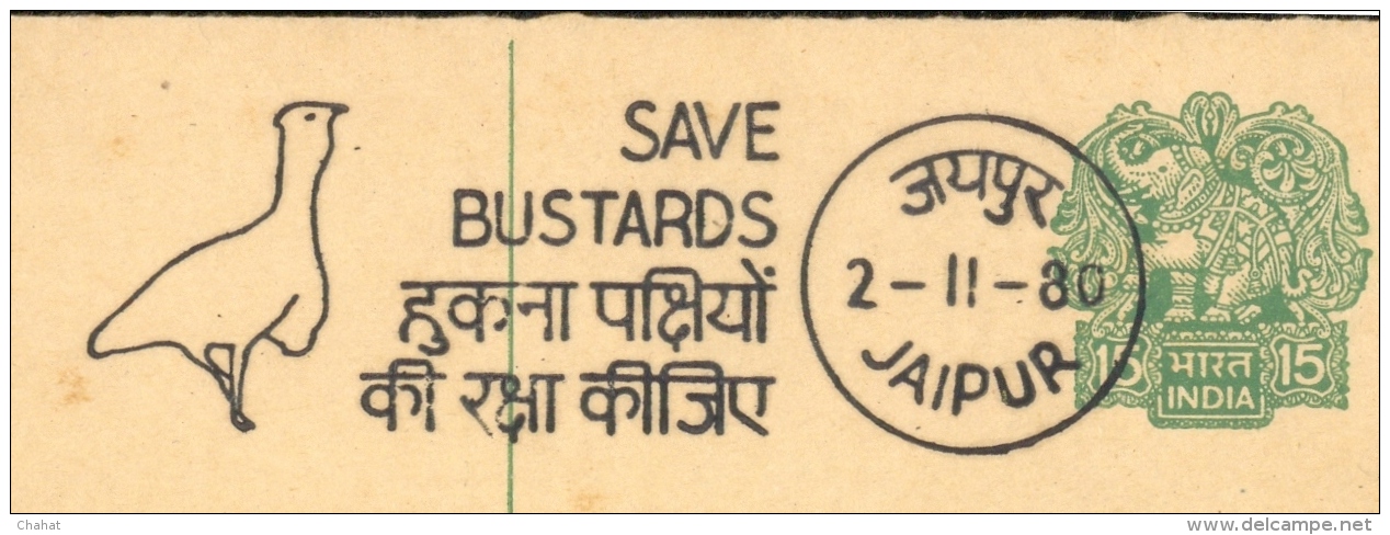 BIRDS-SAVE BUSTARDS-PICTORIAL CANCELLATION ON POST CARD-INDIA-1980-BX1-372 - Oblitérations & Flammes