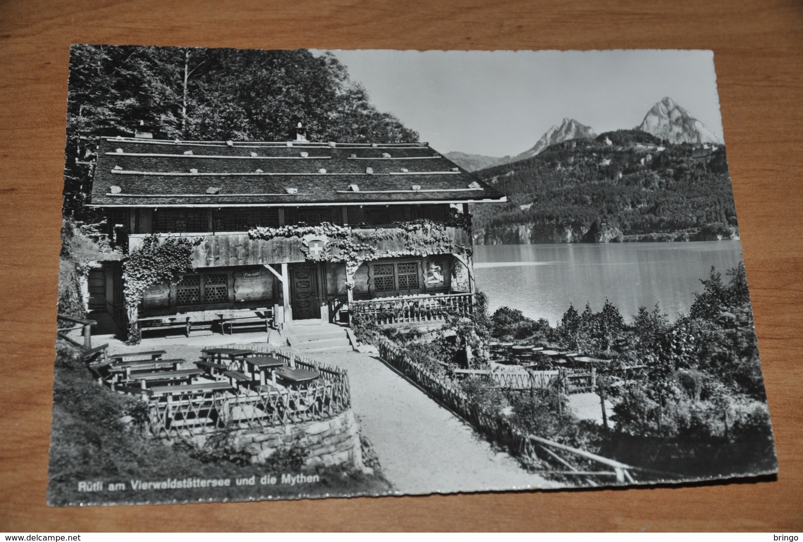 809- Rütli Vierwaldstättersee Und Die Mythen - Wald