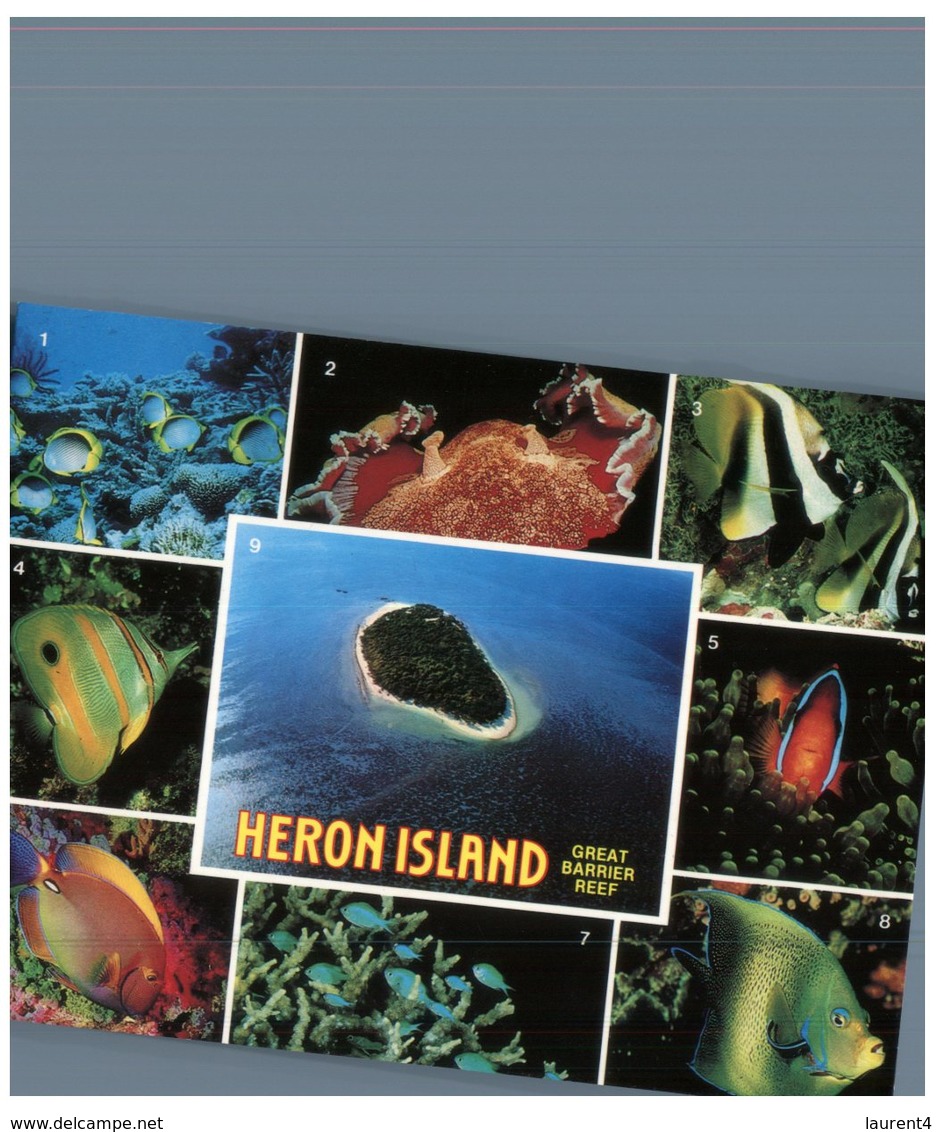 (PF 950) Australia - QLD - Heron Island (with Stamp At Back Of Card) - Great Barrier Reef