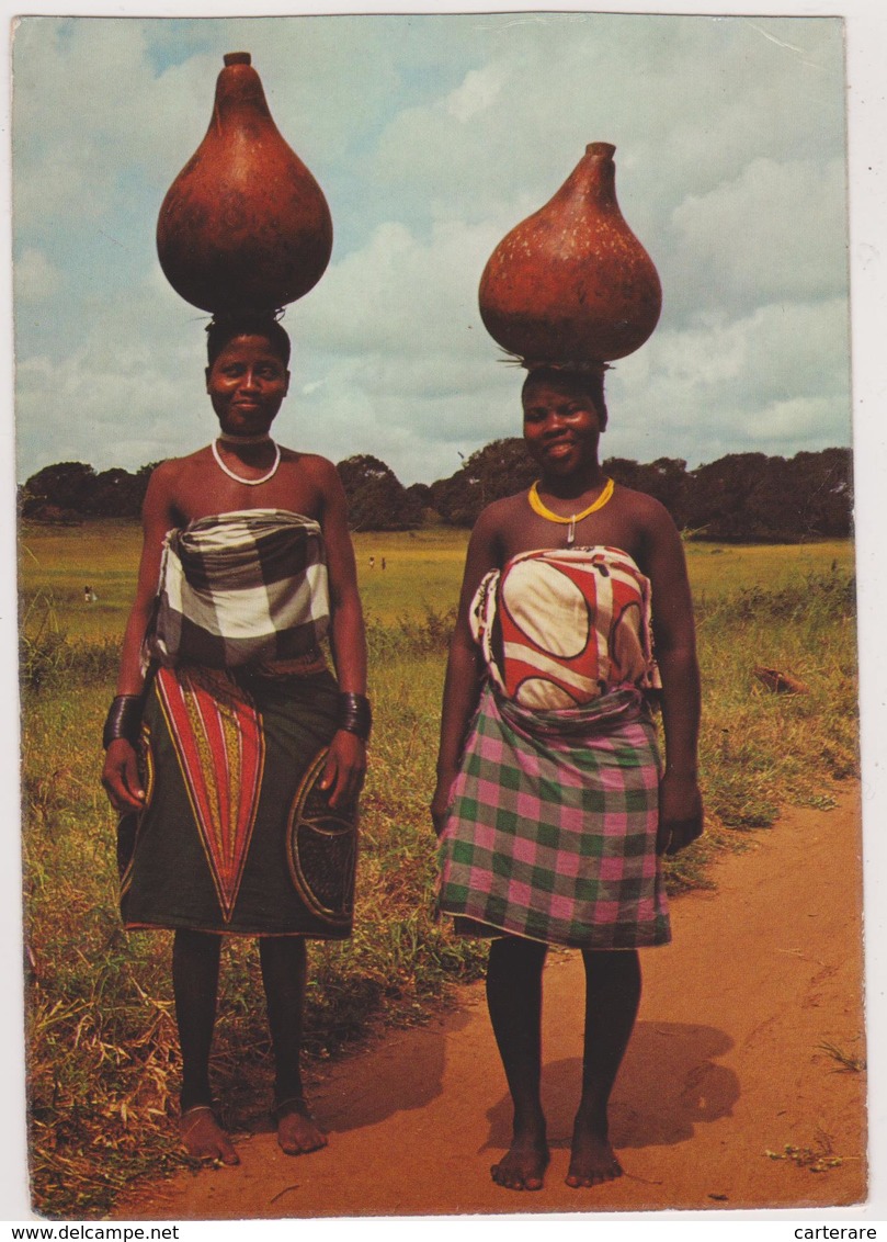 Afrique,KENIA,PRES SOUDAN,ETHIOPIE,SOMALIE,T ANZANIE,femmes Indigènes Portant Du Lait Au Marché,sur La Tete,équilibriste - Kenya