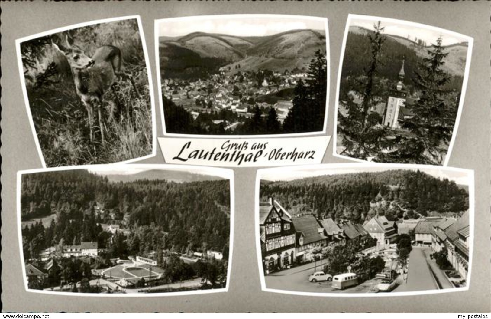 41276659 Lautenthal Harz Teilansichten Lautenthal Kirche Marktplatz Rehkitz Laut - Langelsheim