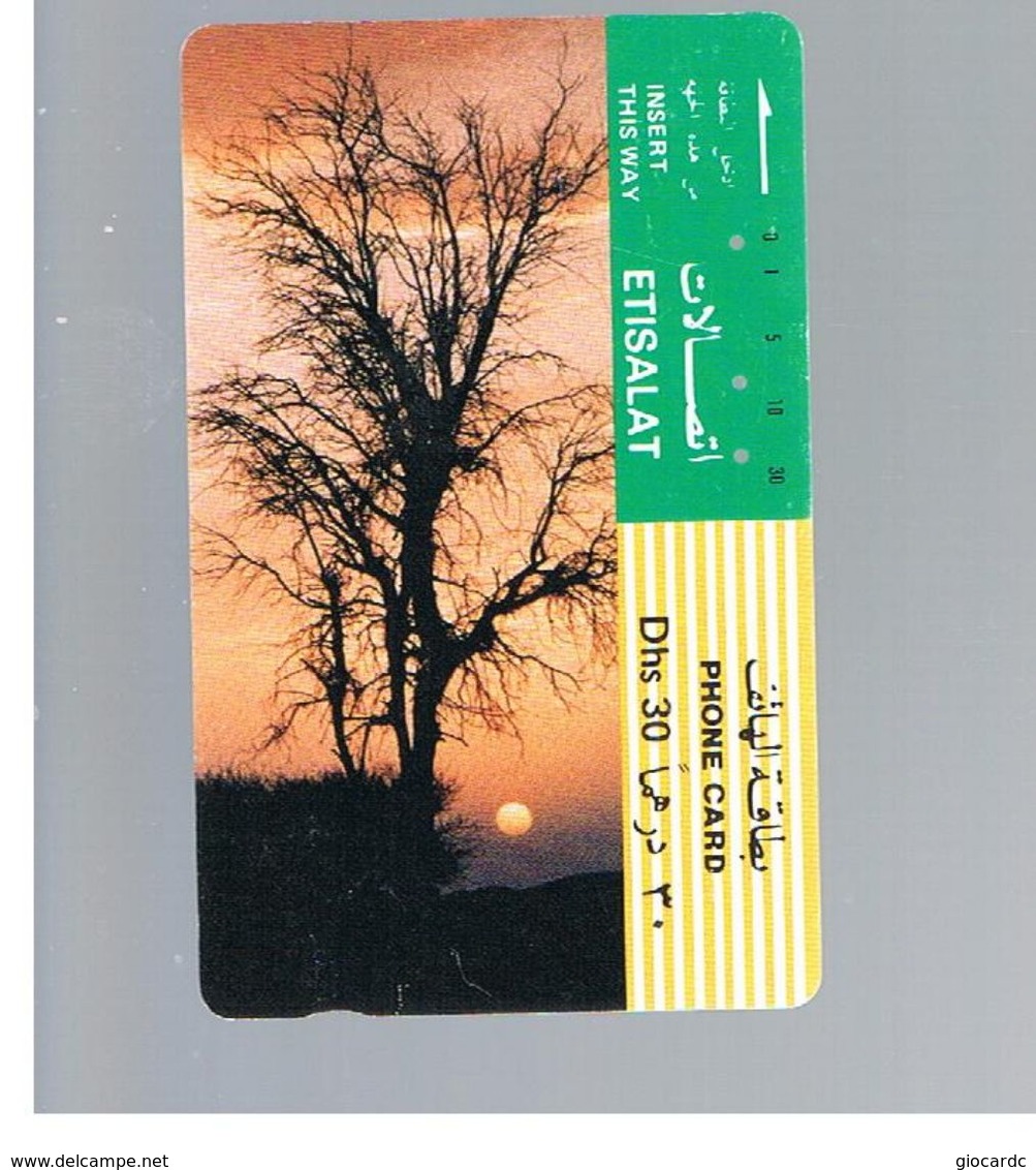 EMIRATI ARABI UNITI (UNITED ARAB EMIRATES) - 1991 TREE AT SUNSET                 - USED -  RIF.  10426 - Emirati Arabi Uniti