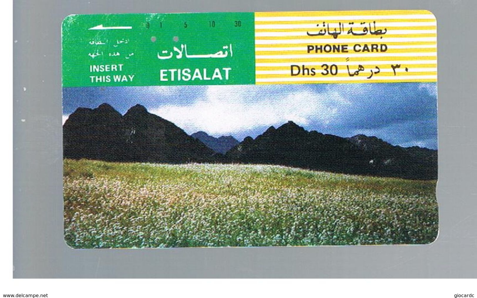 EMIRATI ARABI UNITI (UNITED ARAB EMIRATES) - 1991 CROPS, RAS AL KHAIMAH               - USED -  RIF.  10426 - Emirati Arabi Uniti