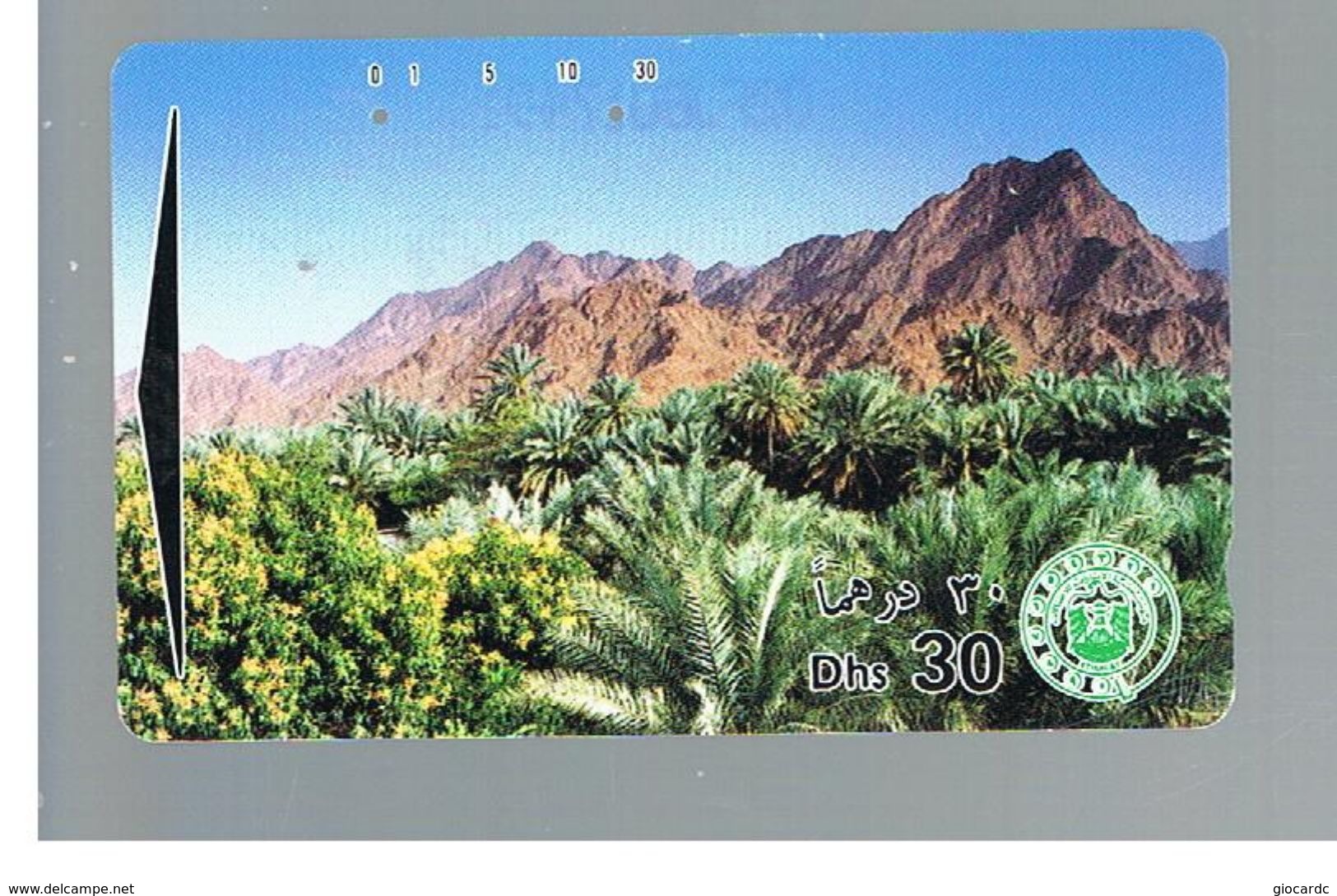 EMIRATI ARABI UNITI (UNITED ARAB EMIRATES) - 1993 PALM GROVE         - USED -  RIF.  10428 - Montagnes