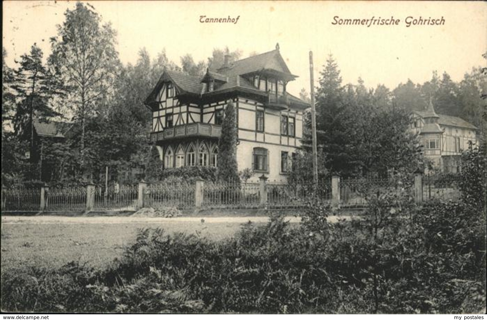 41243408 Gohrisch Tannenhof, Sommerfrische Gohrisch - Gohrisch