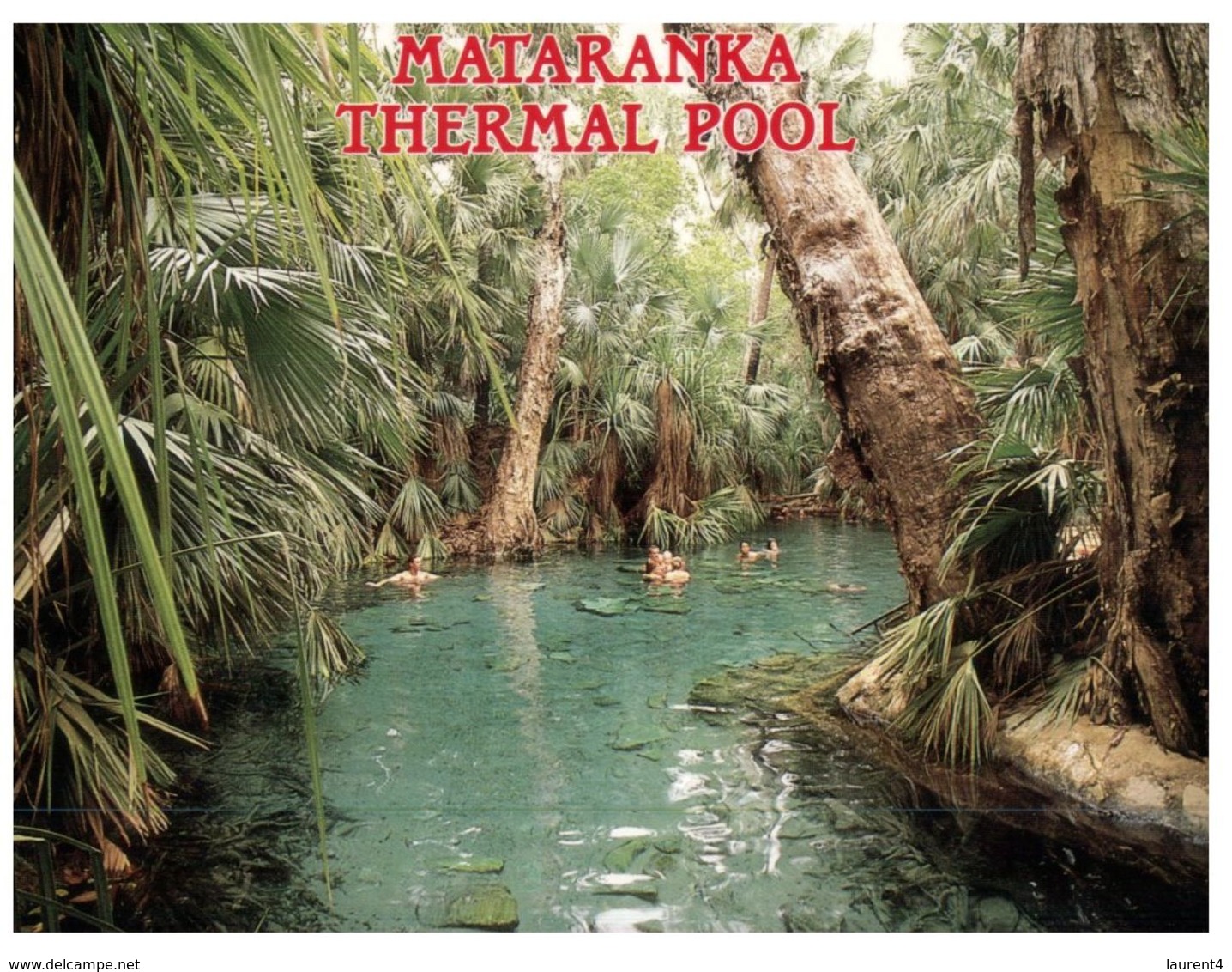 (400) Australia - NT - Mataranka Thermal Pool - Darwin