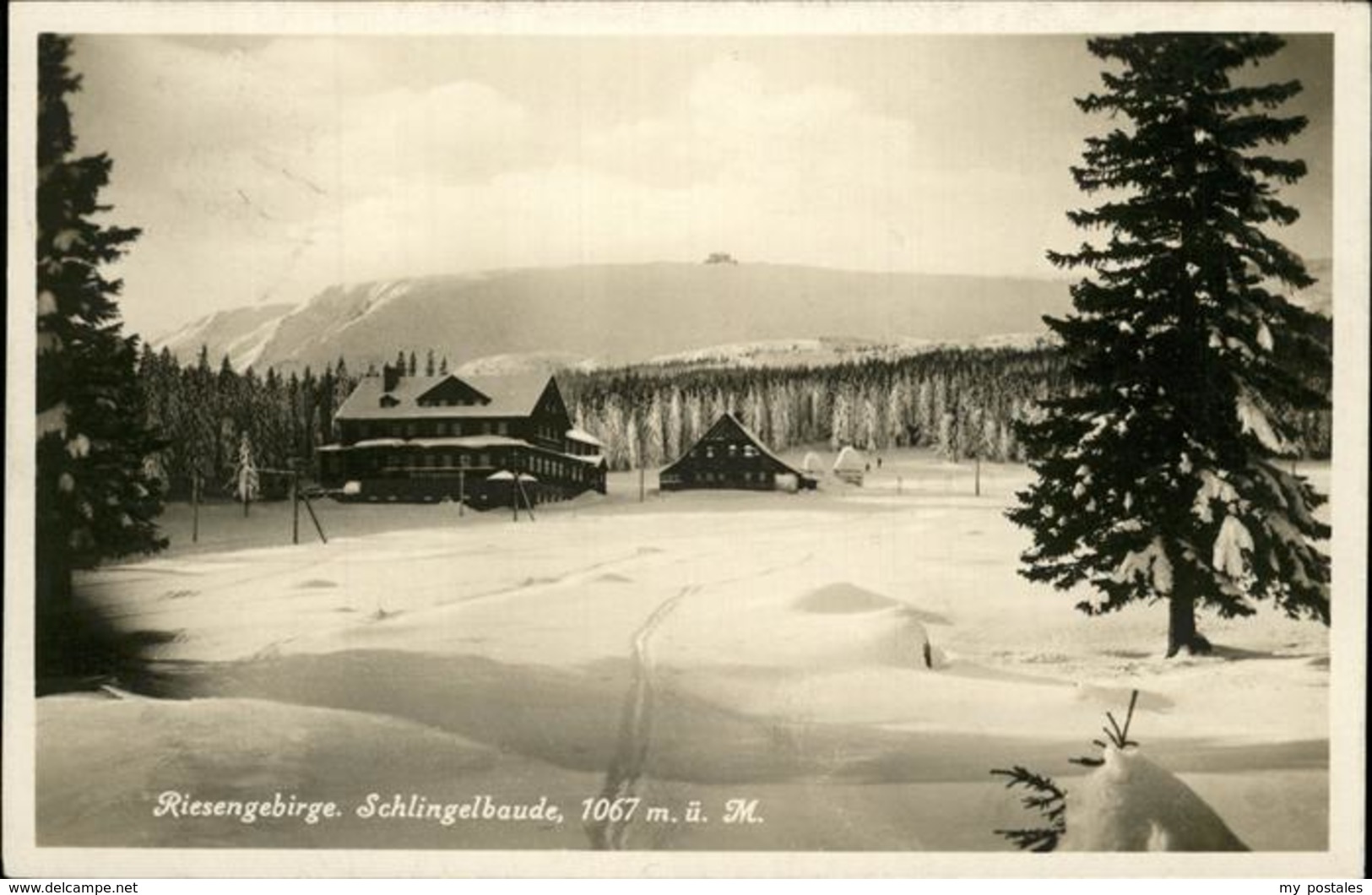 11247386 Schlingelbaude  Pec Pod Snezkou - Günzburg