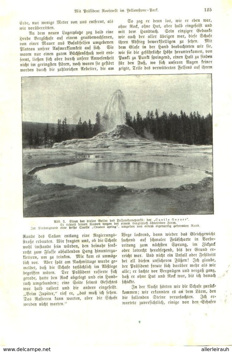 Mit Präsident Roosevelt Im Yellowstone Park /Druck, Entnommen Aus Kalender /1909 - Bücherpakete